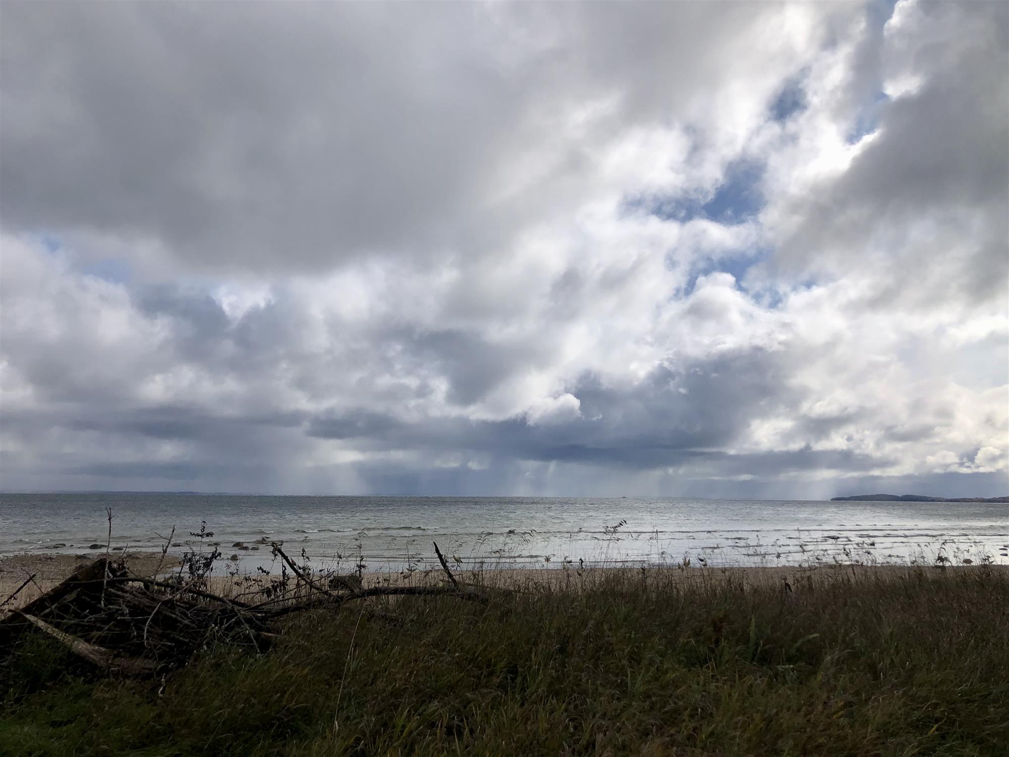 View of the beach