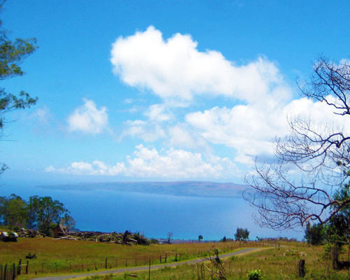 Home Builders in Hawaii