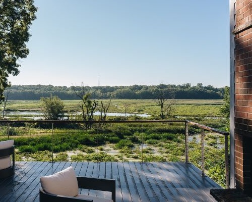 View of nature from back patio