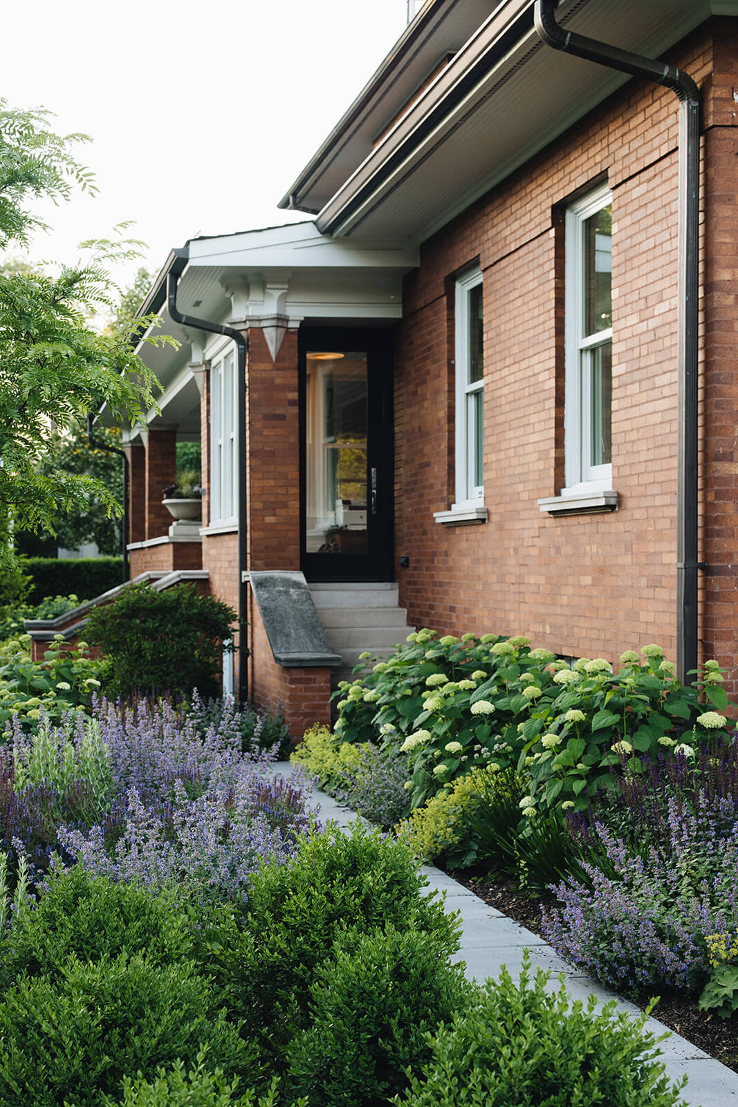 angled view of sidewalk with greenery