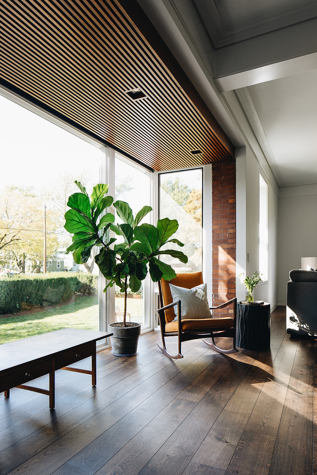 Window view with plants