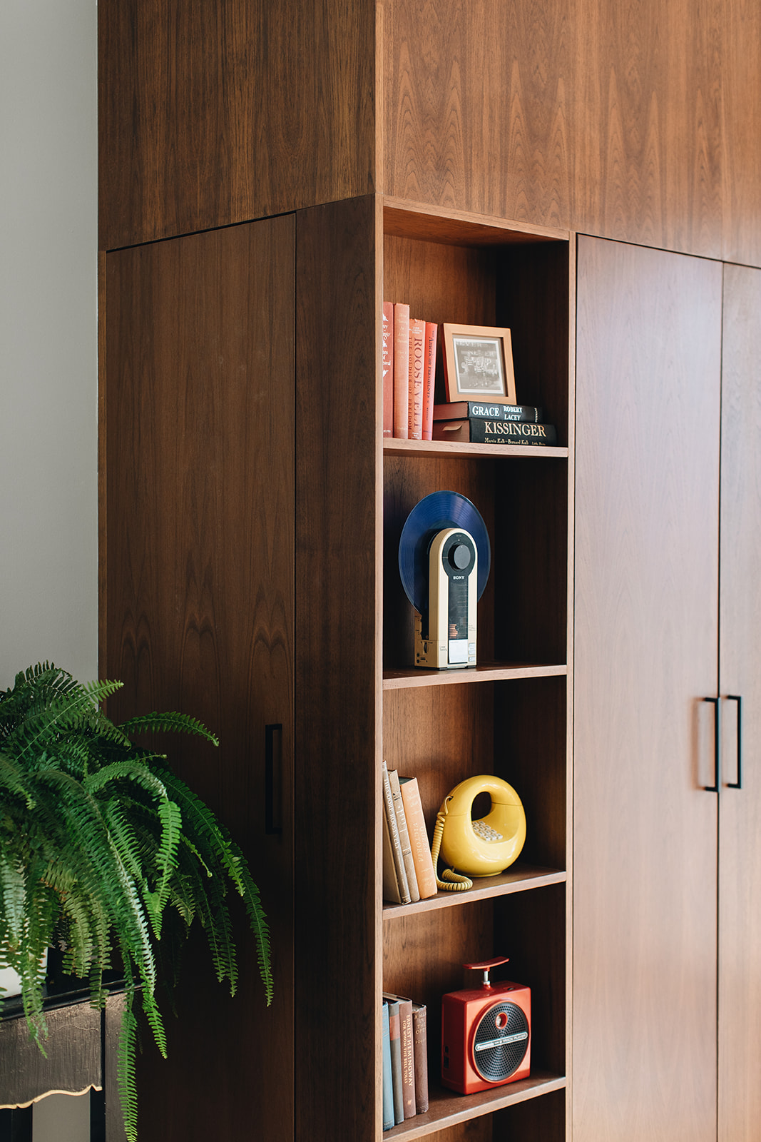 View of modern shelving